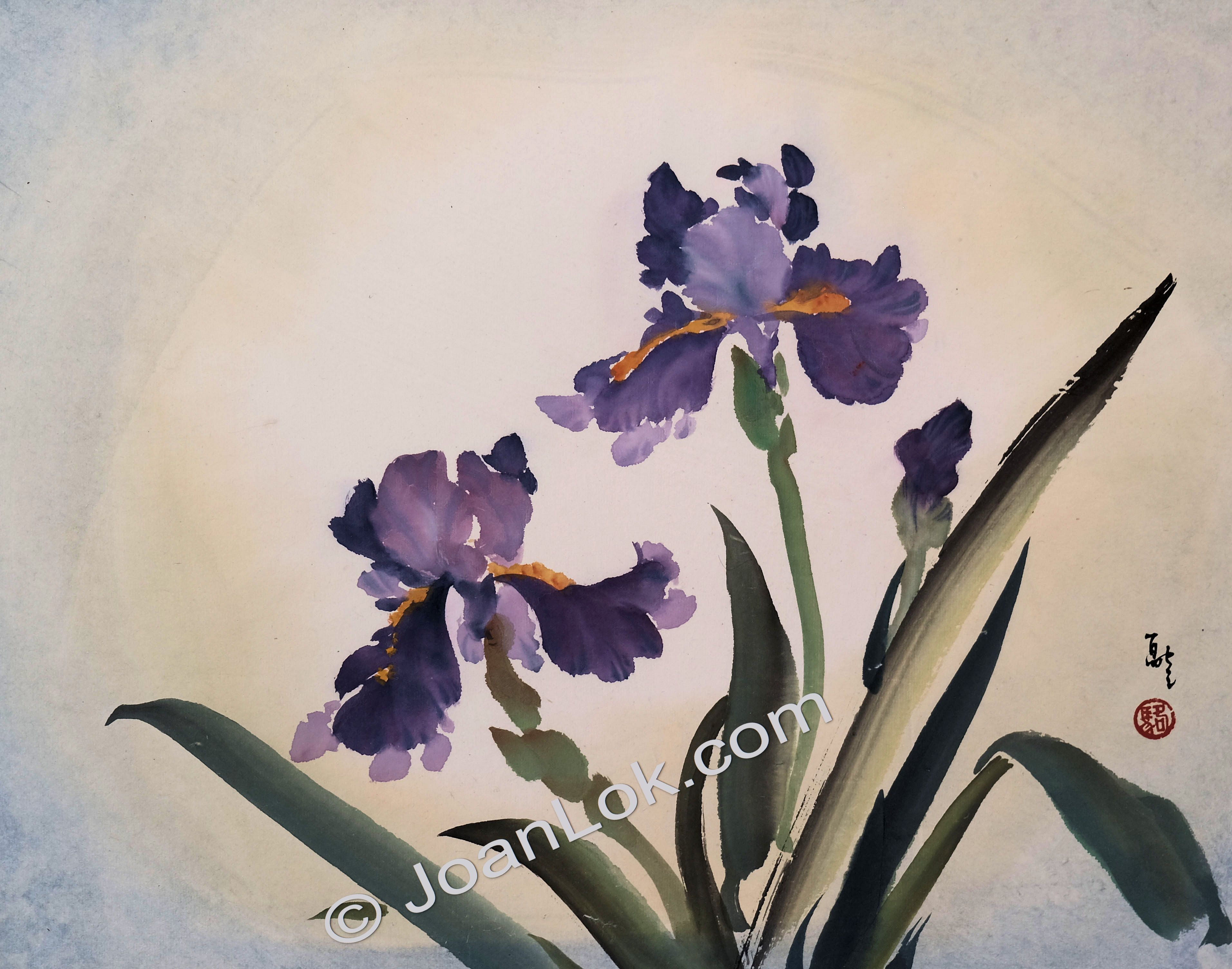 Iris