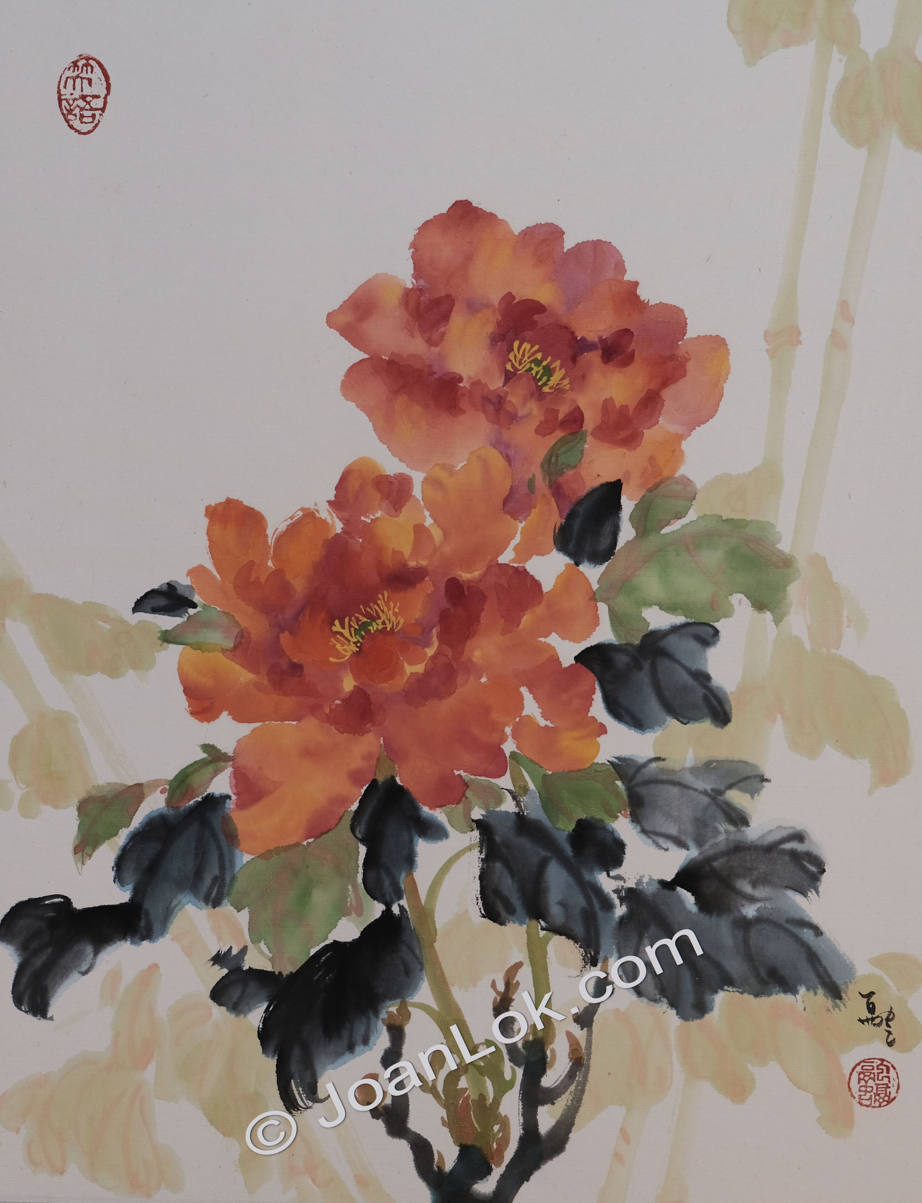 Two Peonies