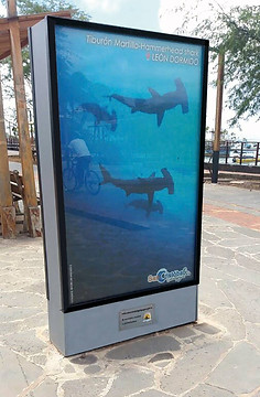 22520001_1689189794447499_30035225562805