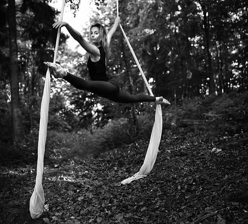 Silk split JDS_edited.jpg