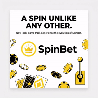 https://spinbit.geek.nz/