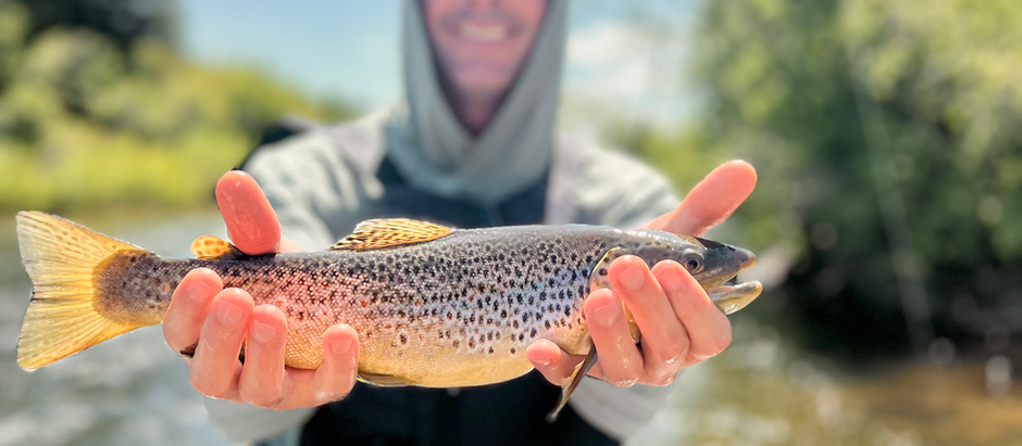 Eagle River Fly Fishing Report with CRO Guide Matt Weldon – June 28th 2025