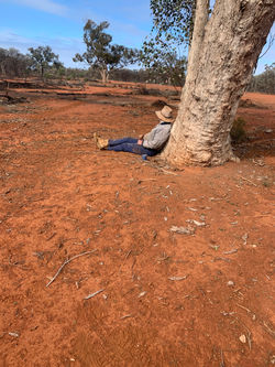 B9D84549-4978-4245-B1E7-1447B475CB29.jpe