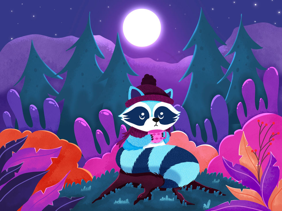 Raccoon