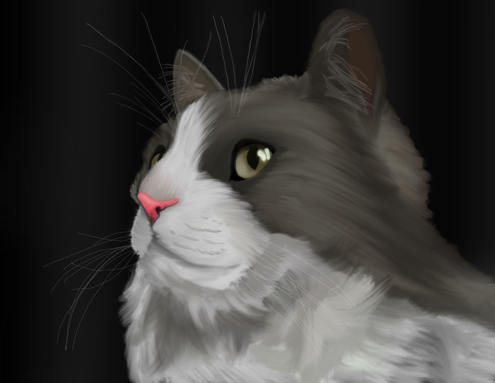 NabiCat