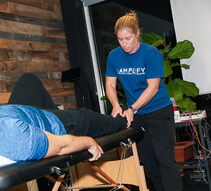 Physical Therapist