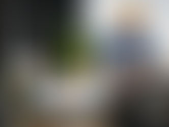 The Ultimate Guide to Physical Therapy in Westfield, NJ