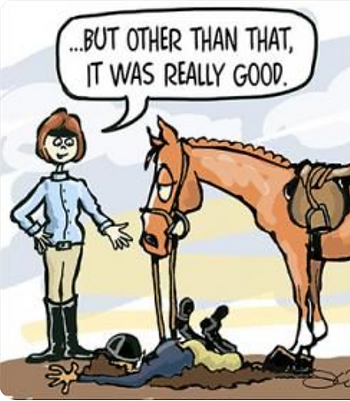 a good horse trainer can help
