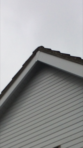 IMG_1378.PNG