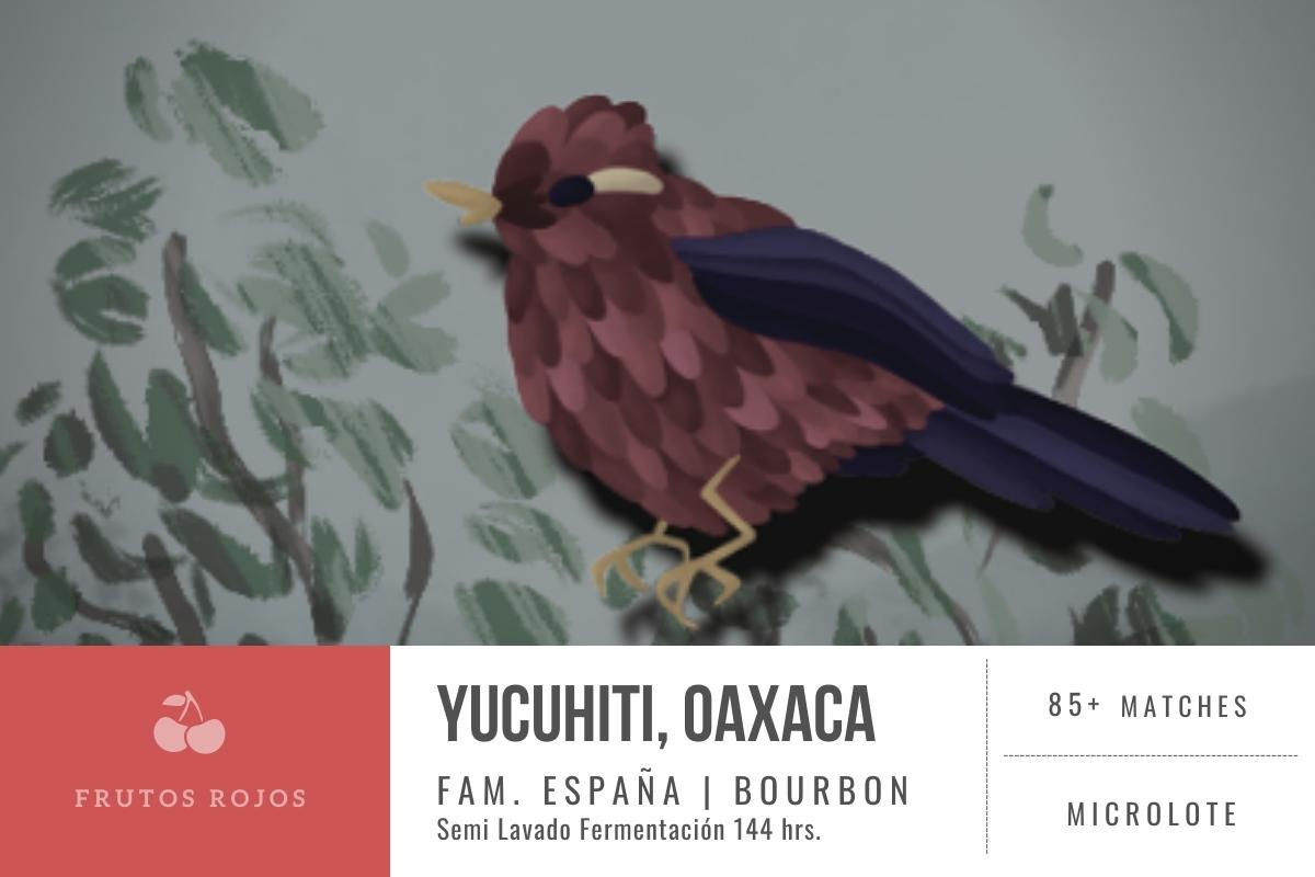 Semilavado | Miramar Yucuhiti, Oaxaca | [Frutos Rojos]
