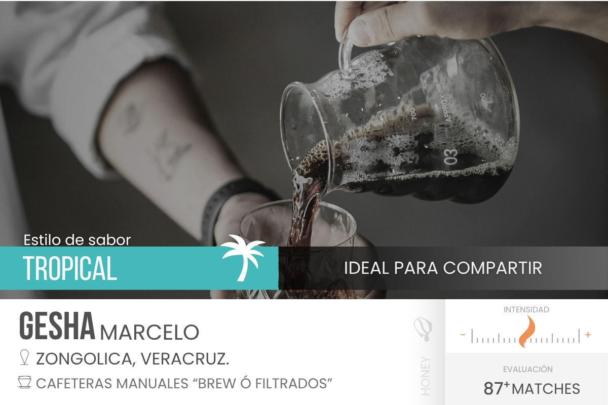 Gesha Marcelo - Honey