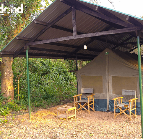 Canvas safari tent with covered veranda and director's chairs set among forest trees at a Uganda safari camp