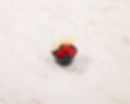 Fresh Fruit Cup