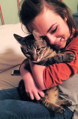 Lost cat near me Austin TX found