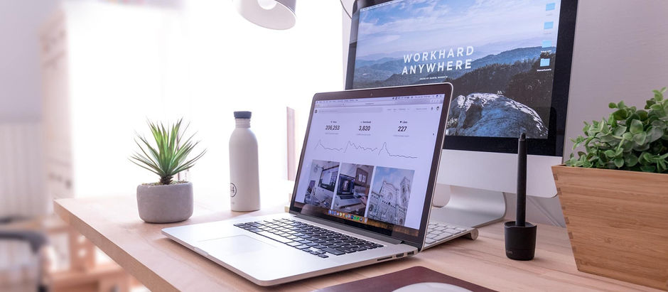 Decoding Web Design: WordPress or Custom Development for Edmonton Businesses in 2024