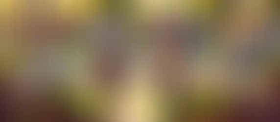 24/7 Pre-Roll Paradise: Sacramento's Most Reliable Delivery Services