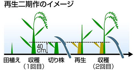 6265196f94d483fdacc56fc400d8f4c8_2.jpg