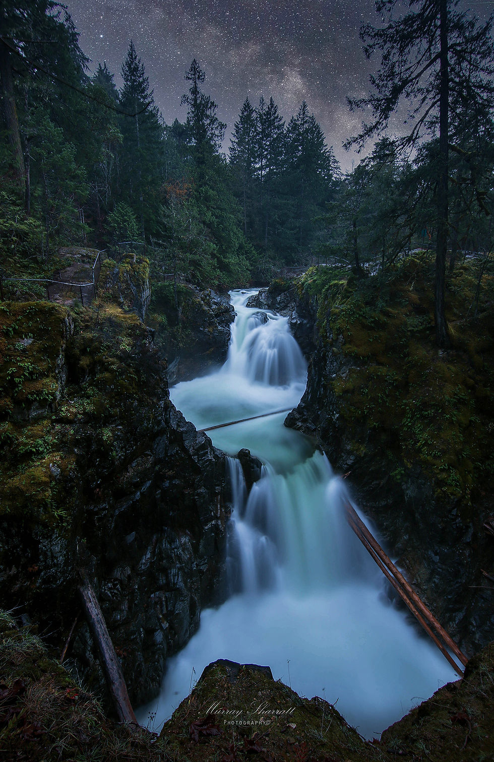 Little Qualicum Falls at night