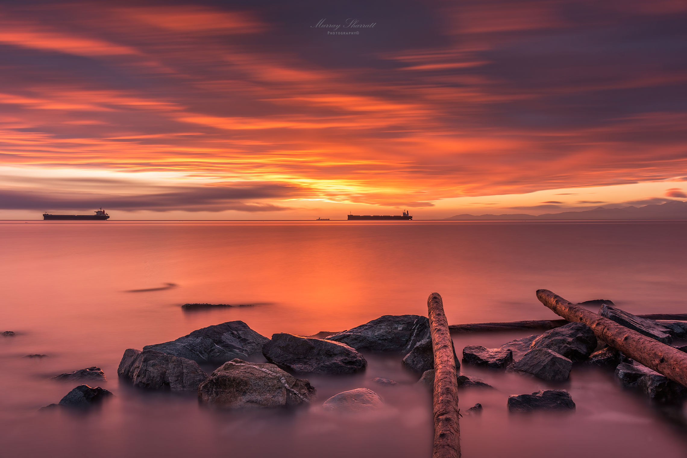 In the stillness of a new day, Royal Bay Beach Park, Colwood