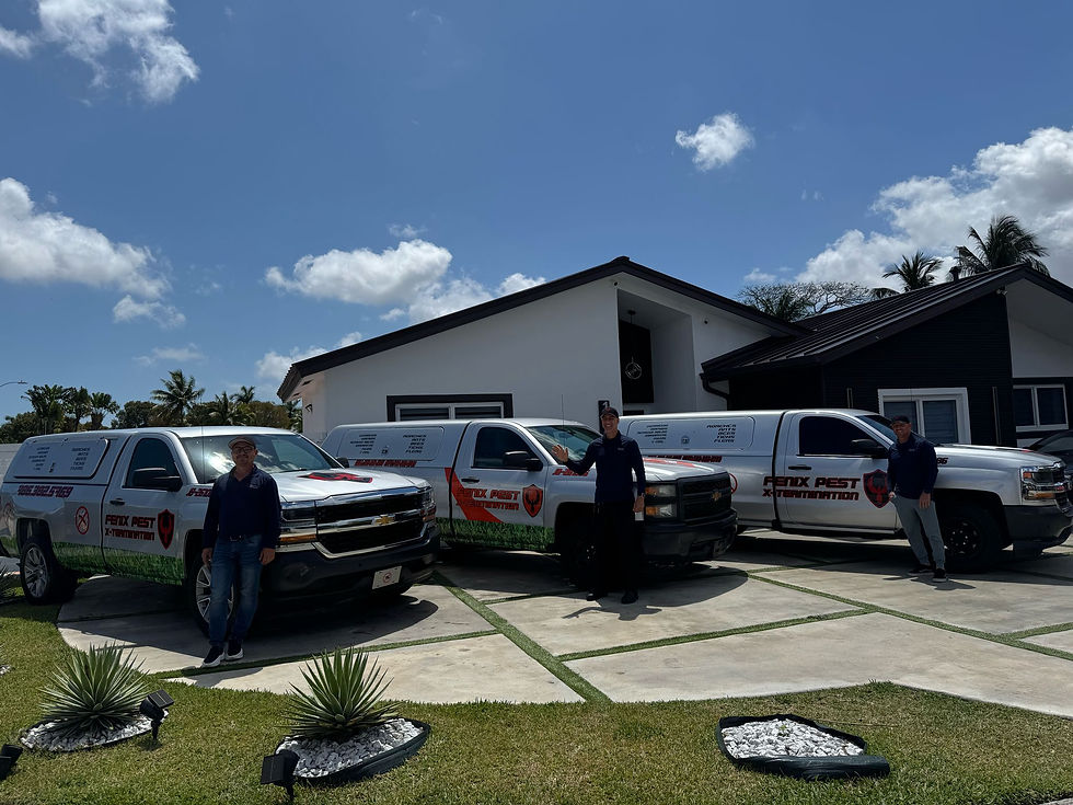 man and trucks from fenix