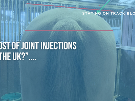 Cost of Joint Injections in the UK for horses