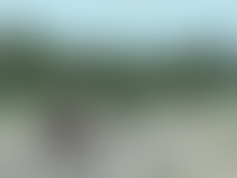 Bone to pick with Chick