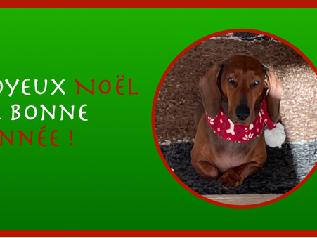 Belles Fêtes et Bonne Année !