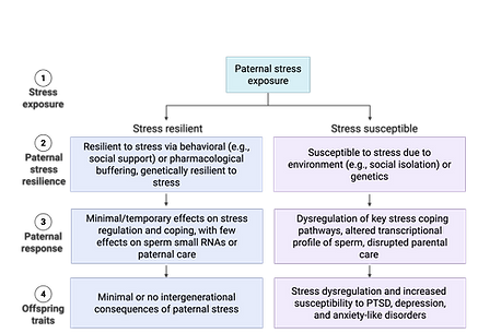 NIH conceptual figure (3).png