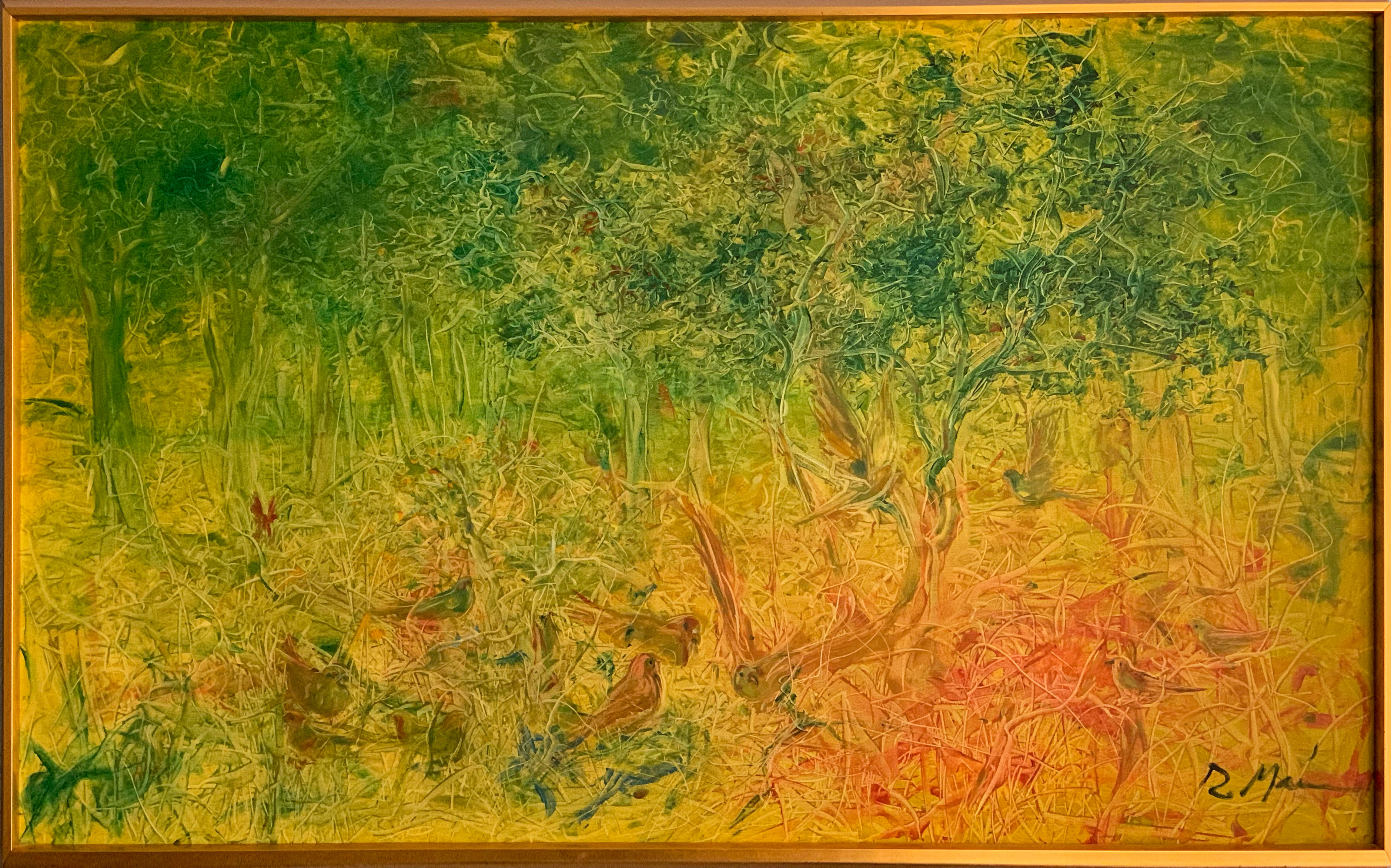 Pájaros