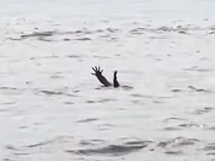 Are Crocs Really So Deceiving?