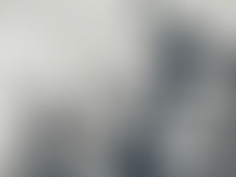 Shoulder Flexion Performance Care