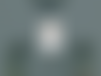 The Alchemical Albedo