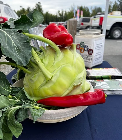 A large kohlrabi and two red peppers sitting on a table in front of flyers for the local food directory