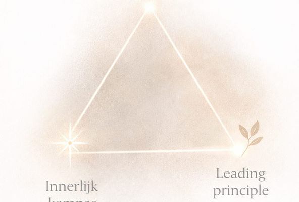 Afbeelding van een driehoek tussen 3 begrippen Intuïtie, leading principle en innerlijk kompas