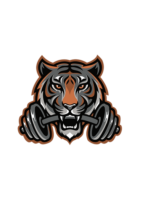 PH ZONE_logo_COLOR.png