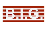 BIG Logo (2).png