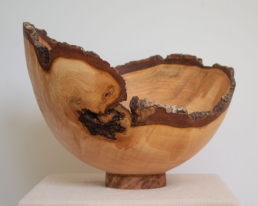 Large Warped Ash Vessel with Live Edge and Raised Walnut Foot