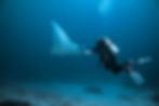 Profesional scuba divers Riviera Nayarit