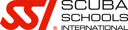 logo SSI.png