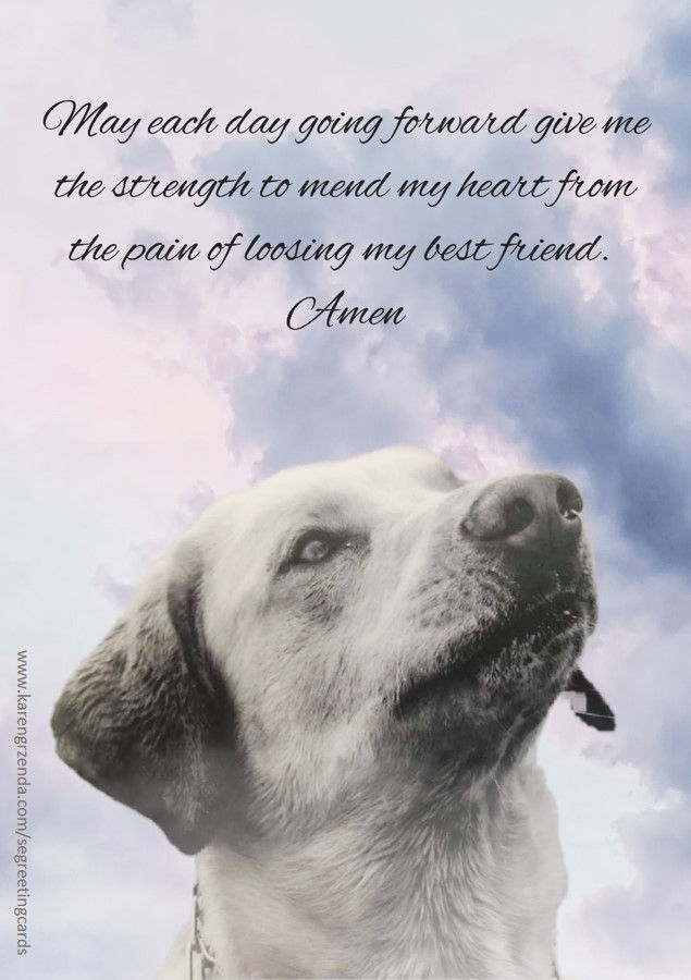 E CARD PL2307202116