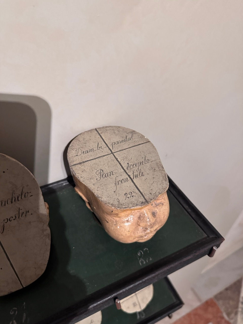 GöttwAIg - EXKURS: Wunderkammer George Loudon Collection VENEDIG