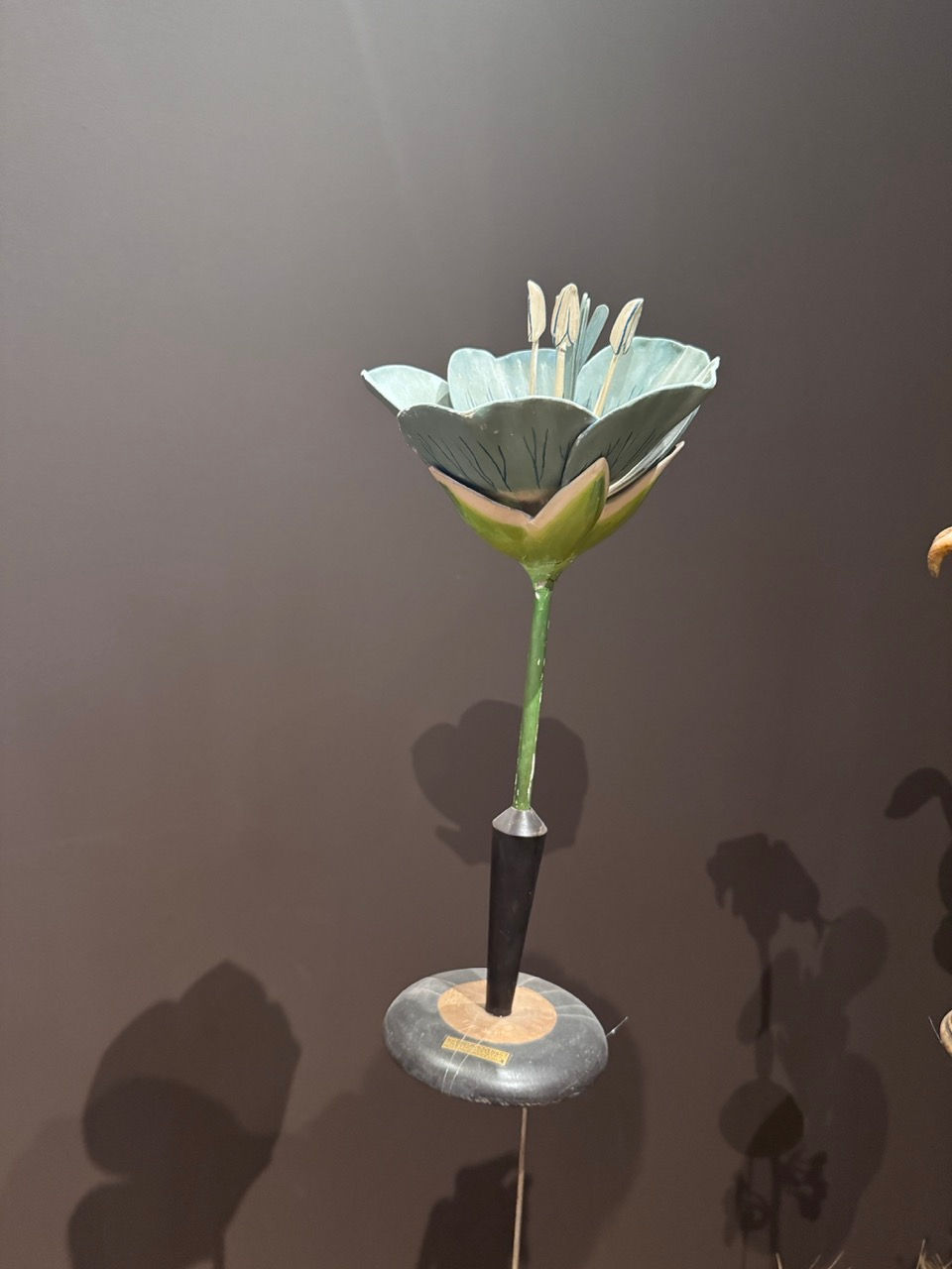 GöttwAIg - EXKURS: Wunderkammer George Loudon Collection VENEDIG