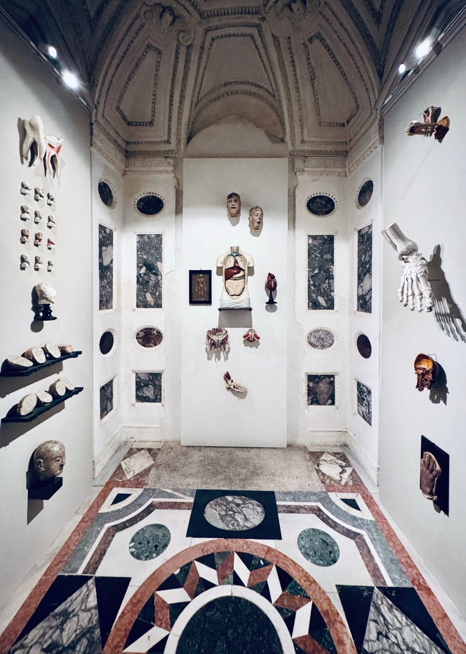 GöttwAIg - EXKURS: Wunderkammer George Loudon Collection VENEDIG