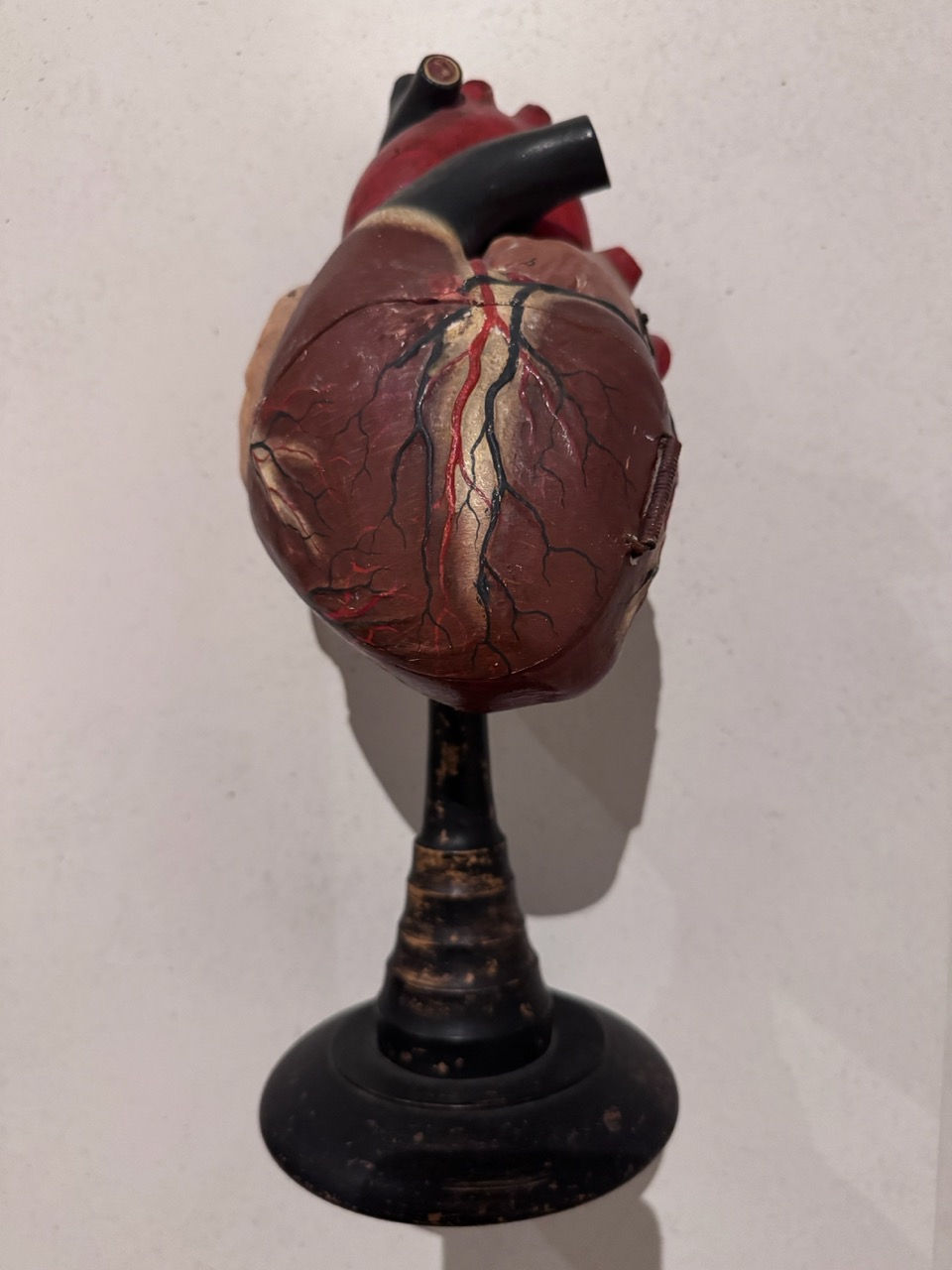 GöttwAIg - EXKURS: Wunderkammer George Loudon Collection VENEDIG