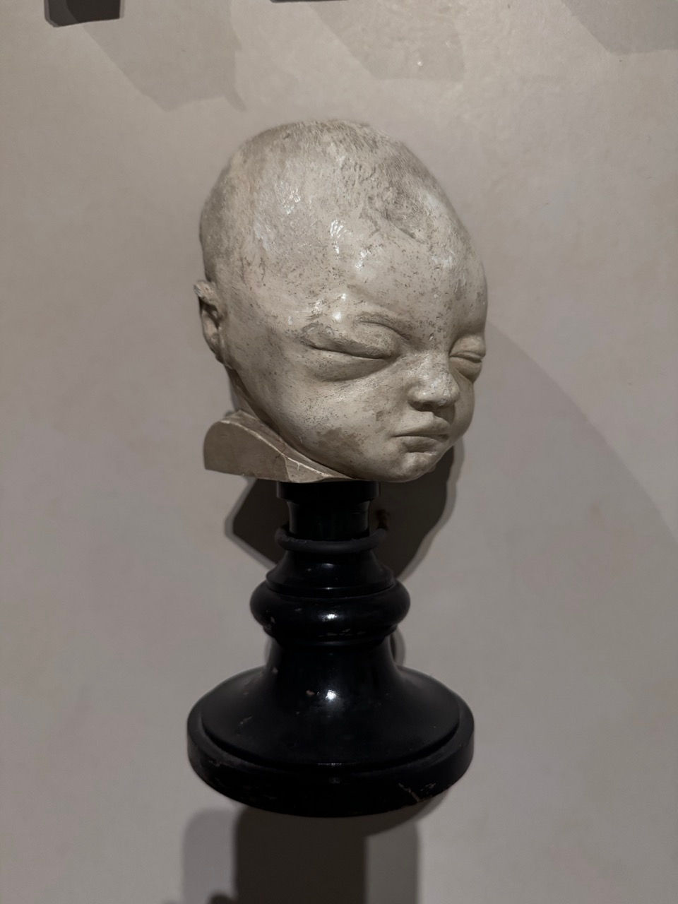 GöttwAIg - EXKURS: Wunderkammer George Loudon Collection VENEDIG