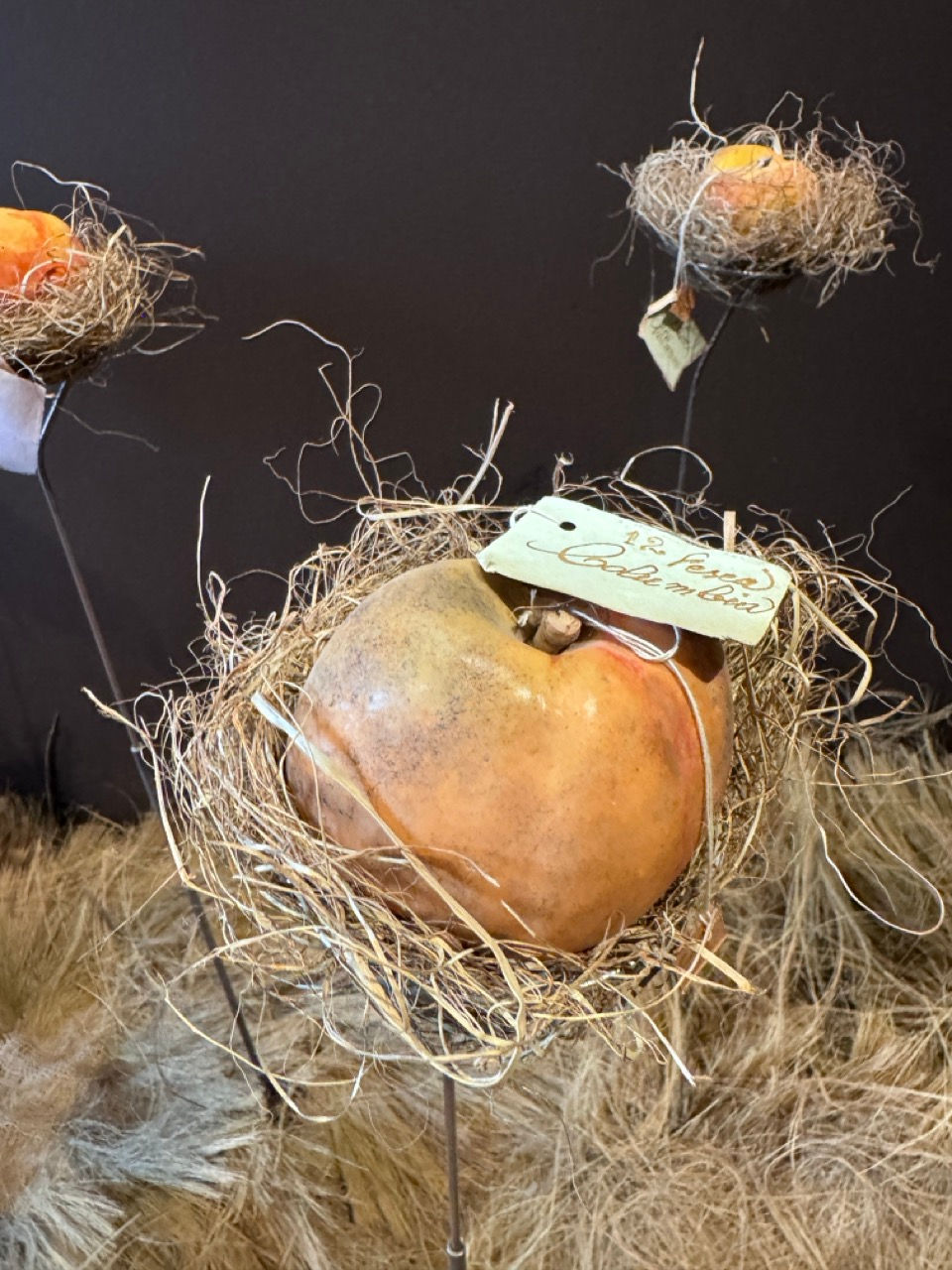 GöttwAIg - EXKURS: Wunderkammer George Loudon Collection VENEDIG