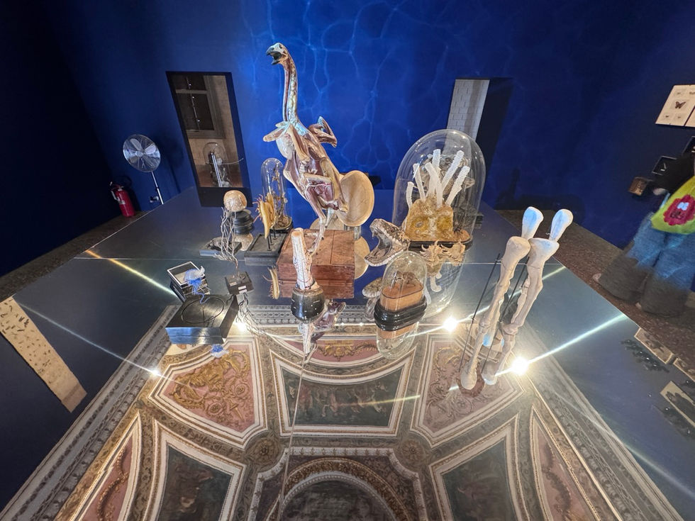 GöttwAIg - EXKURS: Wunderkammer George Loudon Collection VENEDIG