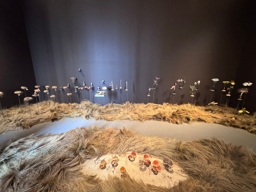 GöttwAIg - EXKURS: Wunderkammer George Loudon Collection VENEDIG