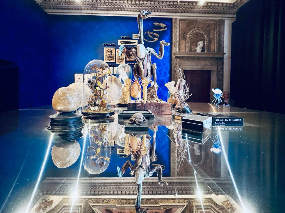 GöttwAIg - EXKURS: Wunderkammer George Loudon Collection VENEDIG