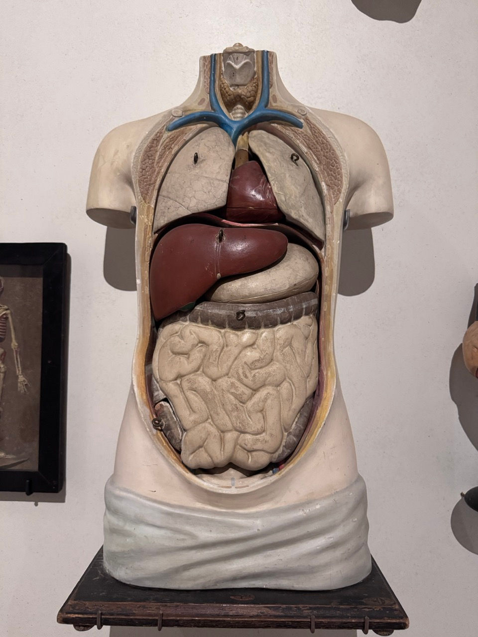 GöttwAIg - EXKURS: Wunderkammer George Loudon Collection VENEDIG